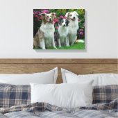 ein Border Collie, blue-merle, und zwei  Australia Canvas Afdruk (Insitu (Slaapkamer))