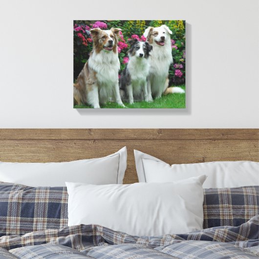 ein Border Collie, blue-merle, und zwei Australia Canvas Afdruk (Insitu (Slaapkamer))