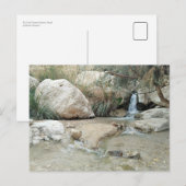 Ein Gedi Natuur Reserve, Israël Briefkaart (Voorkant / Achterkant)