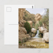 Ein Gedi Natuur Reserve uitzicht briefkaart (Voorkant / Achterkant)