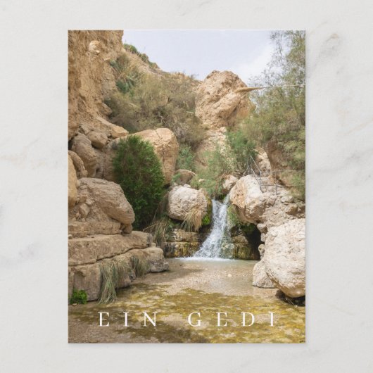 Ein Gedi Natuur Reserve uitzicht briefkaart (Voorkant)