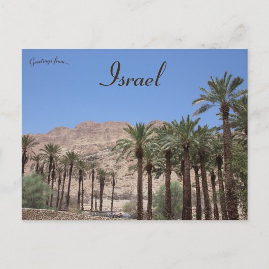 Ein Gedi Southern District Israël Briefkaart (Voorkant)