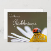 Ein Glücksbringer mit Marienkäfer Briefkaart (Voorkant / Achterkant)