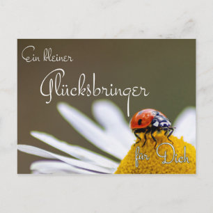 Ein Glücksbringer mit Marienkäfer Briefkaart