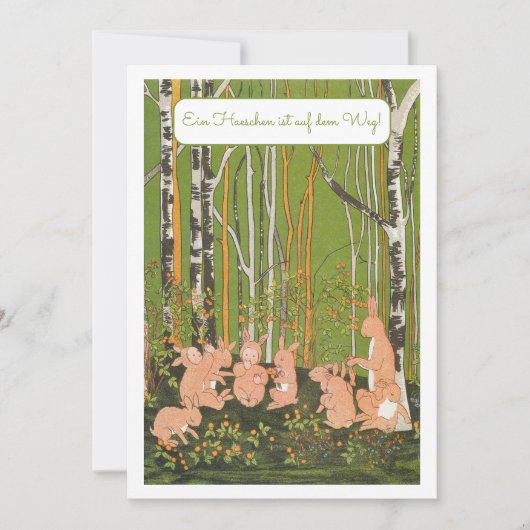 Ein Kleines Haeschen Baby Party Einladung Kaart (Voorkant)