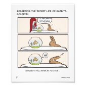 EIND JE FOTO AFDRUK (Voorkant)