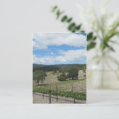 Eind mei het land van de Templeton-wijn Briefkaart (Staand voorkant)