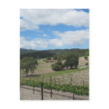 Eind mei het land van de Templeton-wijn