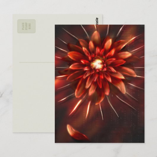 Einde bloemen - Briefkaart (Voorkant / Achterkant)