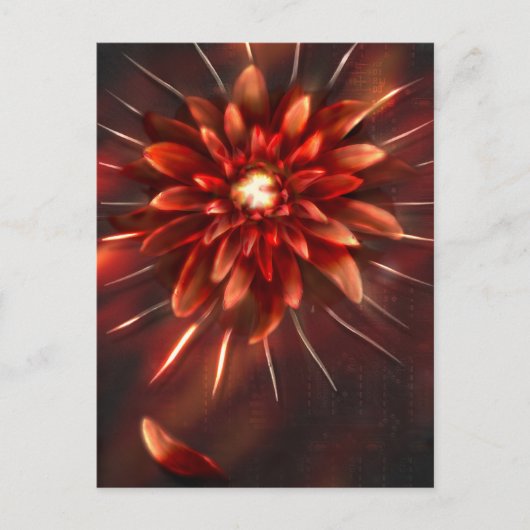 Einde bloemen - Briefkaart (Voorkant)