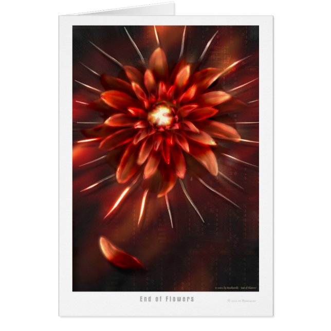 Einde bloemen - Kaart (Voorkant)
