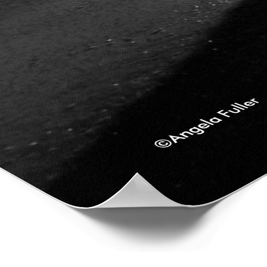 Einde dag bij dog Beach B/W Poster (Hoek)