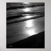 Einde dag bij dog Beach B/W Poster (Voorkant)