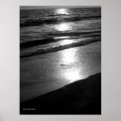 Einde dag bij Dog Beach Huntington CA B/W Poster (Voorkant)