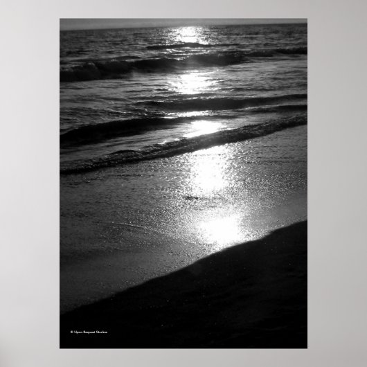 Einde dag bij Dog Beach Huntington CA B/W Poster (Voorkant)