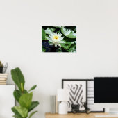 Einde op Pond White Waterlily & Insect Poster (Thuiskantoor)