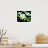 Einde op Pond White Waterlily & Insect Poster (Keuken)