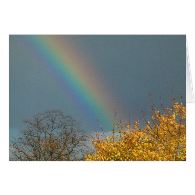 Einde van de regenboog (Voorkant Horizontaal)