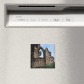 Einde van de ruïne, York Magneet (Insitu (Vaatwasser))