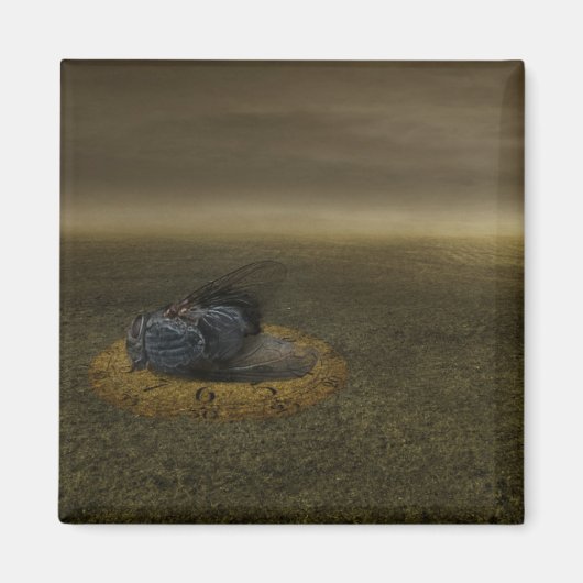 Einde van doelstelling 2013 magneet (Voorkant)