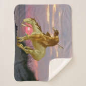 EINDE VAN HET SPOOR SHERPA DEKEN (Voorkant)