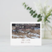 Eindelijk terug naar jou - Rusty Car Photo Briefkaart (Staand voorkant)