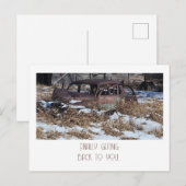 Eindelijk terug naar jou - Rusty Car Photo Briefkaart (Voorkant / Achterkant)