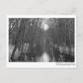 Eindeloos Briefkaart (Voorkant)