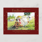 Eindeloos geluk Kerstvakantie Fotokaart Feestdagenkaart (Voorkant)