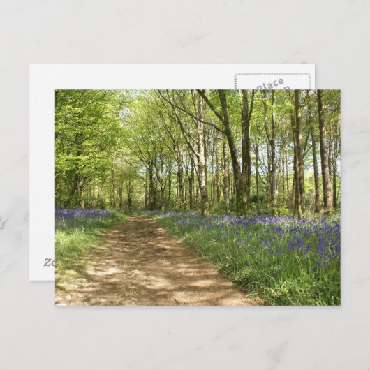 Eindeloze Bossen Briefkaart (Voorkant / Achterkant)