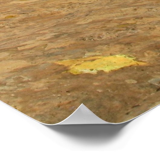 eindeloze Canyon Poster (Hoek)