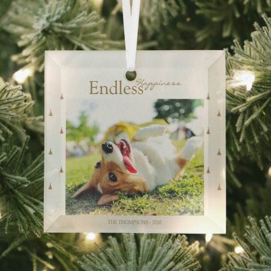 Eindeloze Kerstmis Foto Kerstmis Glas Ornament (Insitu)