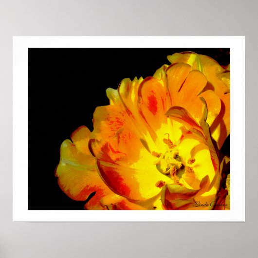 Eindeloze liefde voor Linda Becker Poster (Voorkant)