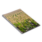 eindeloze rijen van het Notitieboek van de Korn Sp (Rechterzijde)