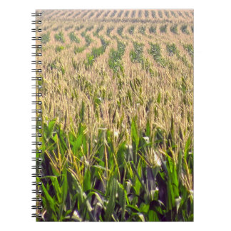 eindeloze rijen van het Notitieboek van de Korn Sp