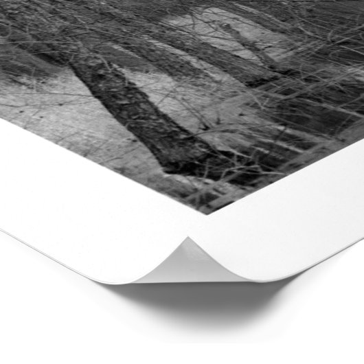 Eindeloze rivier poster (Hoek)