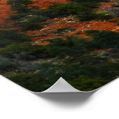 eindeloze schoonheid poster (Hoek)