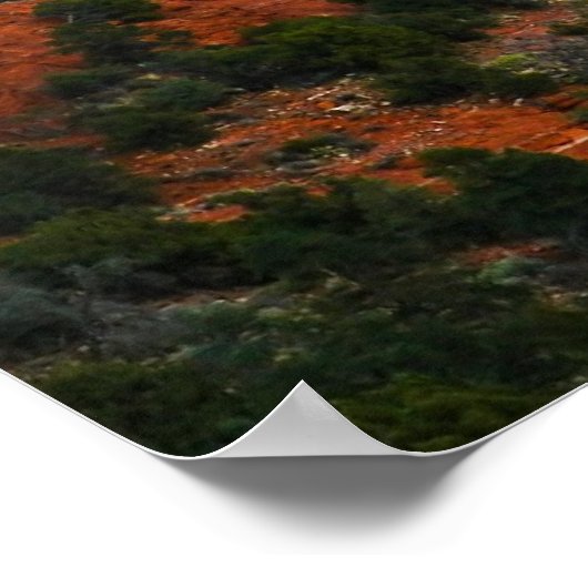 eindeloze schoonheid poster (Hoek)