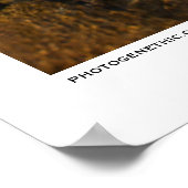 eindeloze zomer poster (Hoek)