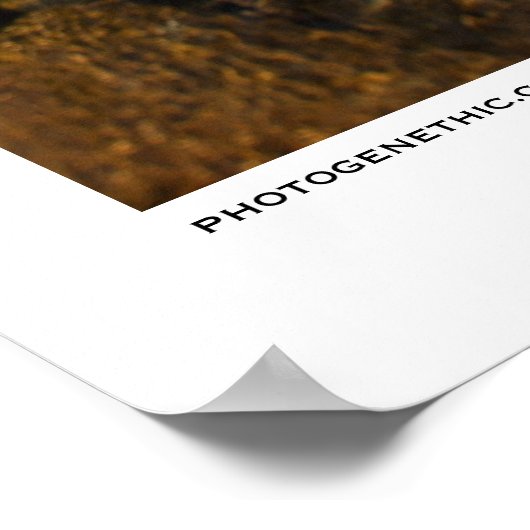 eindeloze zomer poster (Hoek)