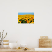 Eindeloze zonnebloemen poster (Keuken)