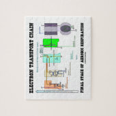 Eindfase van de elektrotransportketen van de aerob legpuzzel (Verticaal)