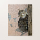 Eine Katze vor change Mauer Legpuzzel (Verticaal)