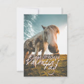 Einen schönen Valentinstag mit schauendem Pferd (Voorkant)