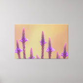 Einfach zum Träumen... Canvas Afdruk (Voorkant)