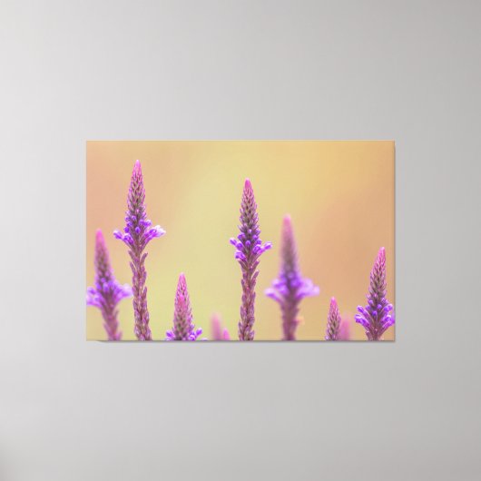 Einfach zum Träumen... Canvas Afdruk (Voorkant)