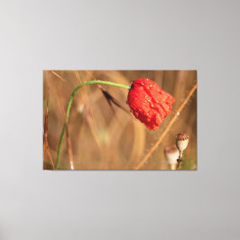 Einfach zum Träumen und Entspannen.. Canvas Afdruk