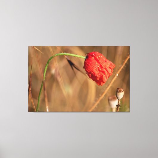 Einfach zum Träumen und Entspannen.. Canvas Afdruk (Voorkant)