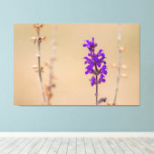 Einfach zum Träumen und Wohlfühlen.. Canvas Afdruk (Insitu (Houten vloer))