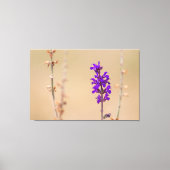 Einfach zum Träumen und Wohlfühlen.. Canvas Afdruk (Voorkant)